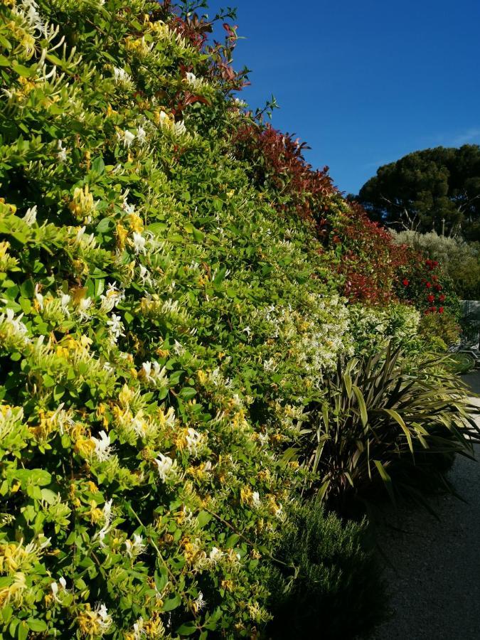 Chambre D'Hotes Le Secadou La Ciotat Eksteriør bilde